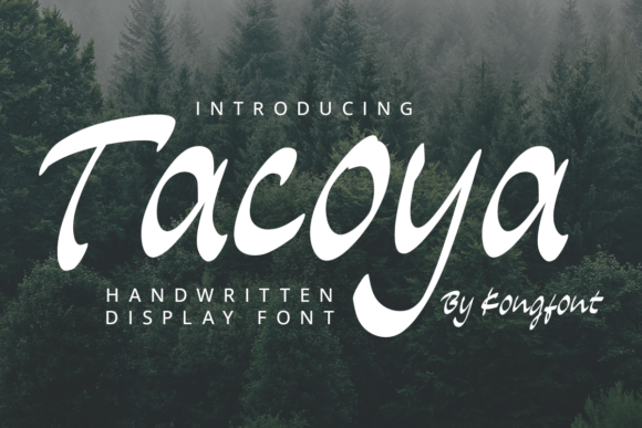 Tacoya: A Stylish Script Font